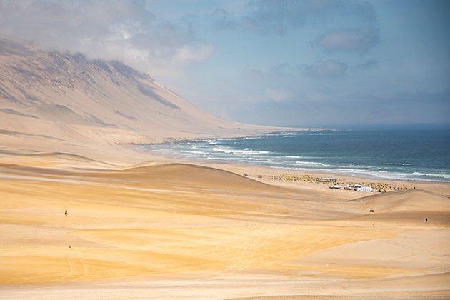 Desert landscape