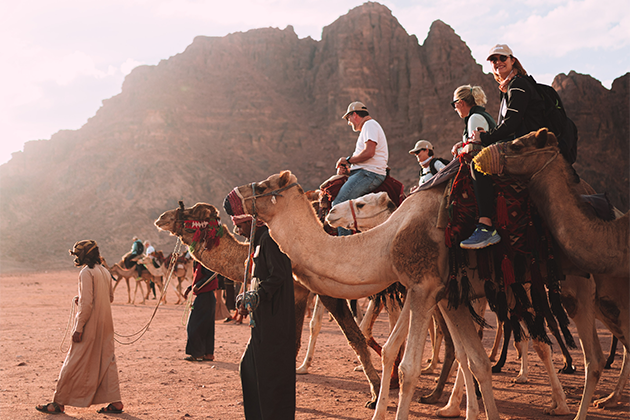companion_jordan_image