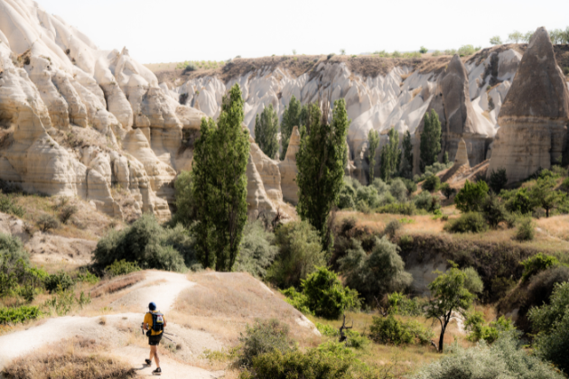 MDS_Cappadocia_distances_0